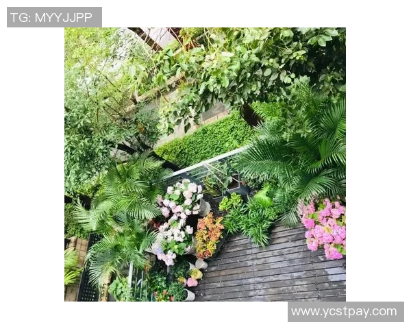 花花搜点:探索花卉世界的奇妙之旅与养护技巧分享 花花搜点:探索花卉世界的奇妙之旅与养护技巧分享