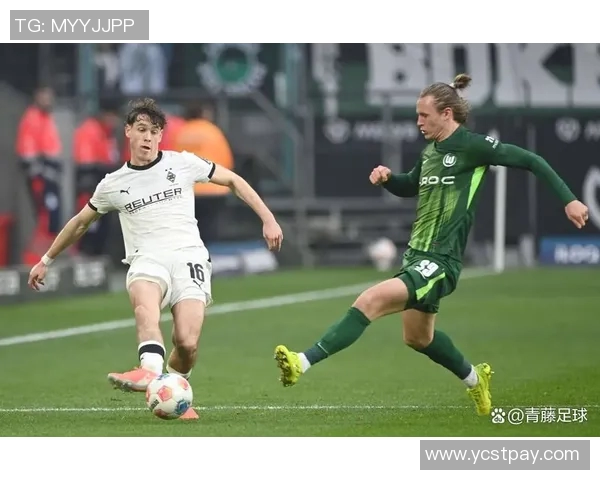 多特蒙德客负门兴：激情赛场再起波澜